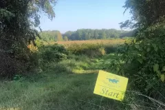 Colts Neck Trail Riders Club