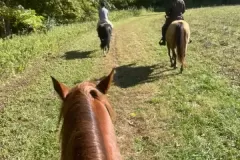 Colts Neck Trail Riders Club